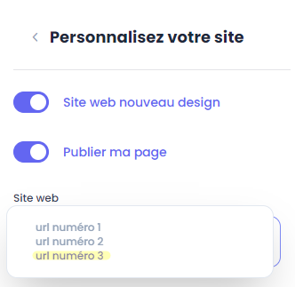 choix 3 urls.png